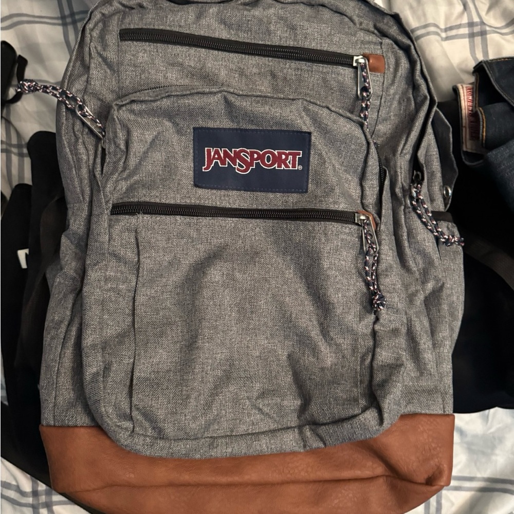 JanSport Gray and Brown Men's Backpack